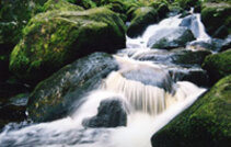 Triberg waterfalls