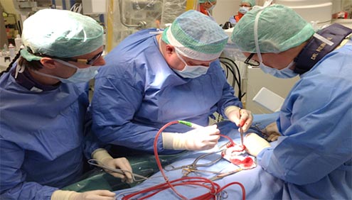 The interdisciplinary ISAH-Team perfoming a minamally invasive transapical aortic valve implantation.